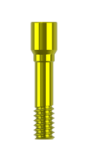 Angled Abutments